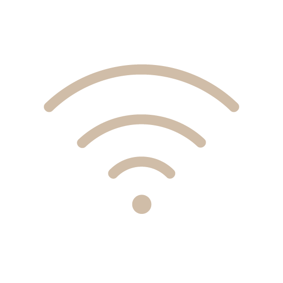 Internet Access Wifi